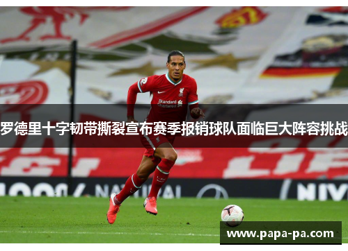 罗德里十字韧带撕裂宣布赛季报销球队面临巨大阵容挑战