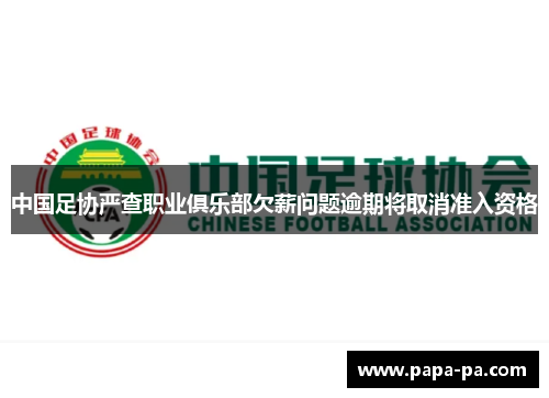 中国足协严查职业俱乐部欠薪问题逾期将取消准入资格